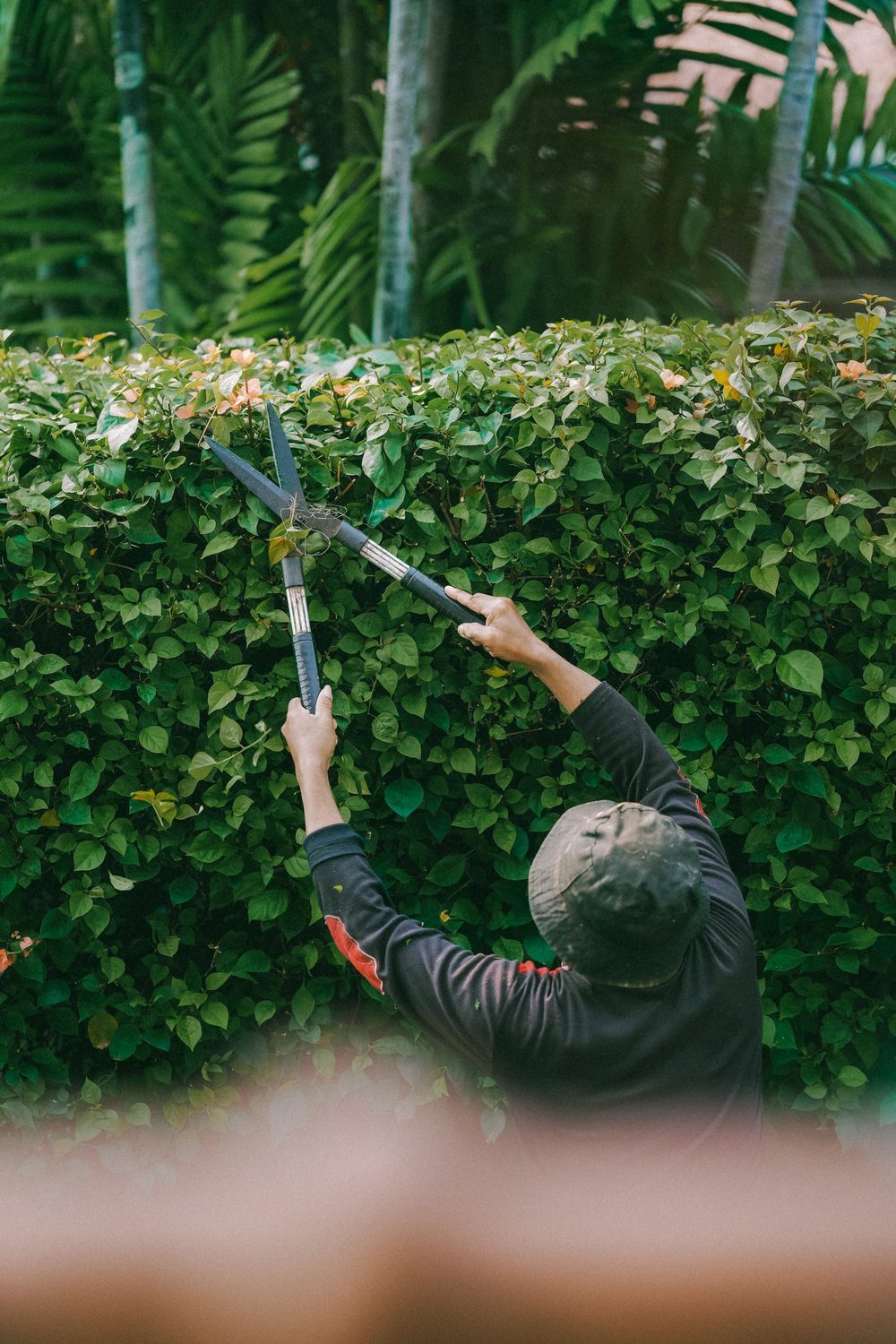 Arbeit von Grünwerk Gartenservice
