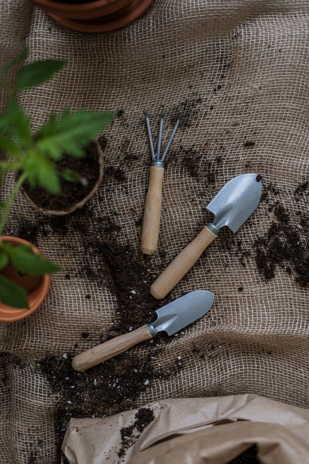 Arbeit von Grünwerk Gartenservice