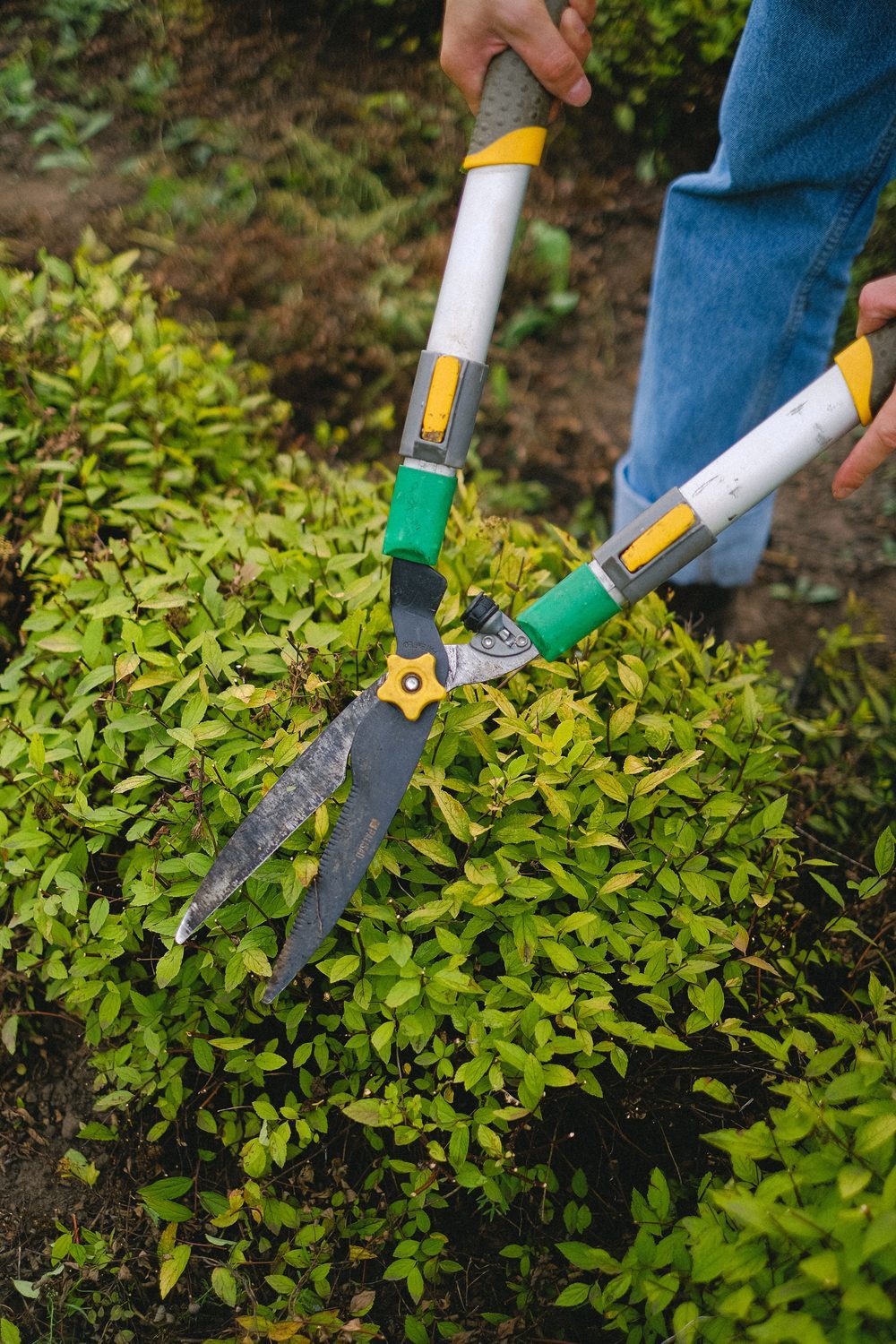 Arbeit von Grünwerk Gartenservice