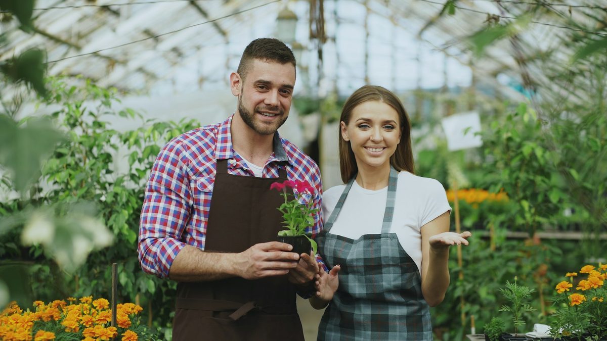 Team von Grünwerk Gartenservice